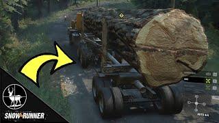 Loading Huge Sequoia Trees! How to Pack Cargo | SNOWRUNNER