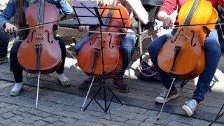 Violoncello  play  at night