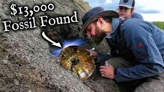We found a $13,000 Fossil while Ammolite Hunting.