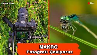 Makro Fotoğrafçılık. Nasıl Yapılır, Makro Objektifler ve Kamera Arkası. Macro Photography