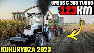 URSUS C-360 TURBO 4X4 CIĄGNIE dużą PRZYCZEPĘ 5 BIEGIEM !!