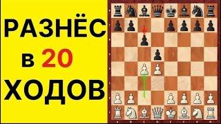 Шахматы. Славянская защита за белых. Школа шахмат d4-d5.