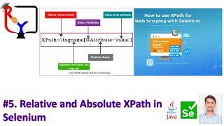 Part 5|  Relative and Absolute XPath in Selenium #selenium  #javaprogramming #java #webautomation