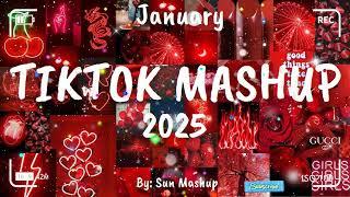 Tiktok Mashup January 2025 (Not Clean)