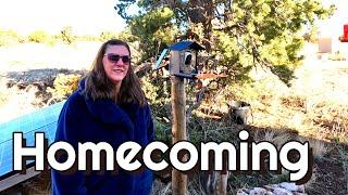 Homecoming | Our Gecko Passed Away | Homestead Updates | Smart Bird Feeder | Heated Scarf