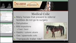 Colic: Diagnosis, Treatment and Prevention