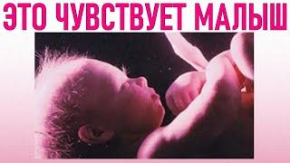 10 ВЕЩЕЙ КОТОРЫЕ ЧУВСТВУЕТ ПЛОД ВО ВРЕМЯ БЕРЕМЕННОСТИ | Основные чувства ребенка