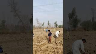 Digging Deep: The Tireless Efforts of Foundation Excavation. | #shorts #youtubeshorts