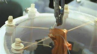 Autonomous Robotic Surgery Takes a Step Forward