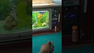 aquarium tv antik