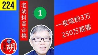 【胡说#224】西雅图老胡抖音合集（1）: 总共250万观看量，一夜涨粉3万，包括抖音禁播的一集视频。