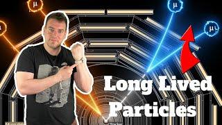 What Are Long Lived Particles?