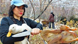 The routine life of Iranian  girls in the village/cooking duck local in the wild