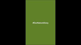 Our Nature Story - The Collection