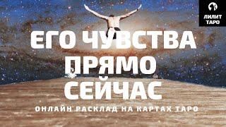 4 КОРОЛЯ: ЕГО ЧУВСТВА К ВАМ ПРЯМО СЕЙЧАС онлайн расклад на картах Таро |Лилит Таро| Гадание 4 короля