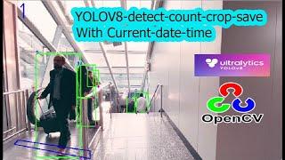 how to crop and save detected object with yolov8 | yolov8 opencv python | computer vision | yolov8