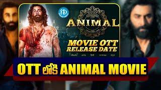 Animal Movie OTT Release Date || Sandeep Reddy Vanga || Ranbir Kapoor || iDream Media