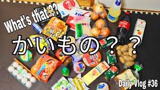 Daily Vlog || After School in Japan || 金曜日の夜 || Ranjan Cndl