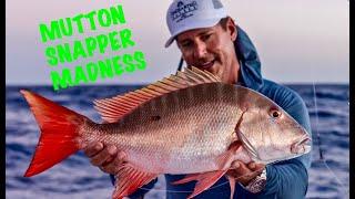 MASSIVE Mutton SNAPPERS in the Bahamas PART 1 - Peter Miller Fishing Uncharted Waters