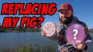 How Does the Zone GT Compare to the Pig?? | Disc Golf Reviews for Beginners
