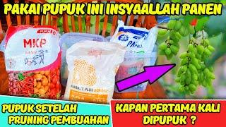 INILAH PUPUK SETELAH PANGKAS PEMBUAHAN TANAMAN ANGGUR