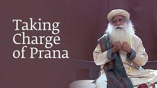 Taking Charge of Prana | Sadhguru | Shemaroo Spiritual Life