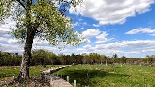 Norwegian Bay Board Walk, Green Lake Wisconsin