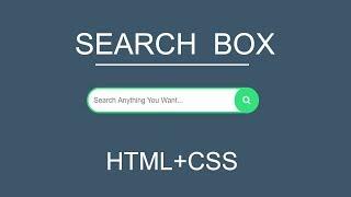 Stylish Search Box With Icon | with HTML CSS by Learn web code
