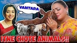 Vantara Ke Sabse Chote Animals | Bharti Singh | Haarsh Limbachiyaa | Golla