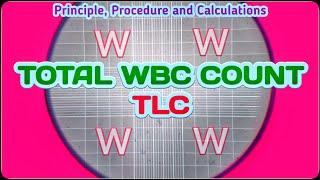 Total Leukocyte Count | TLC Blood Test Procedure | Total WBC Count Experiment