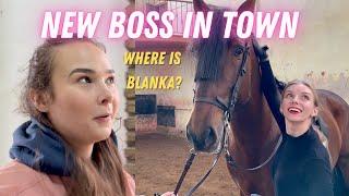 Managing the Stables without Blanka! - Blanka Satora Horse Show Vlog