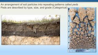 A continental-scale integrated soil, geomorphic, climate, and ecological dataset