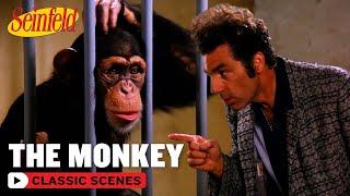 Kramer Has A Fight With A Monkey | The Face Painter | Seinfeld