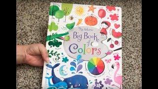 The Usborne Big Book of Colors  Usborne Books & More