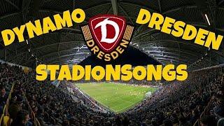 3 SONGS, DIE VOR JEDEM SPIEL VON DYNAMO DRESDEN GESPIELT WERDEN! ️🟡