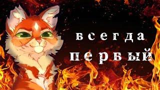 Огнезвёзд:«Всегда Первый»//Коты Воители