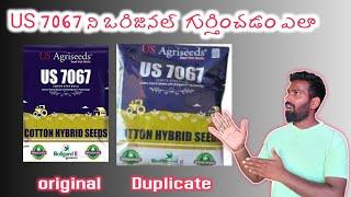 how to find duplicate cotton seeds in Telugu || us 7067 duplicate cotton seeds