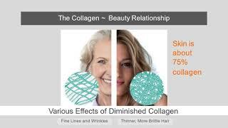 Collagen Lunch & Learn with Nutrition House