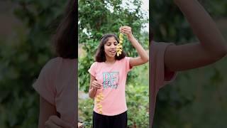 varnika ke papa pakde gaye #shorts #viral