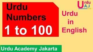 Learn Urdu Numbers 1-100