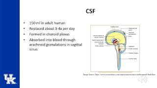 Neuroanesthesia Keyword Review ITE - (Dr. Poore)