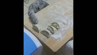 Funny Cat Stealing Dumplings - While Trying not to get Caught Or Seen - Tik Tok China / Douyin