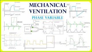 Phase Variables in Mechanical Ventilation| Trigger | Limit | Cycle | PEEP | Modes of ventilation..