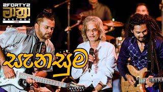 2FORTY2 MAATHRA LIVE | Sanasuma (සැනසුම) -  Senaka Batagoda