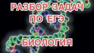 Количество хромосом при синдроме Дауна. Кариотип человека с синдромом Дауна