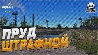 Штрафной пруд. Игра без мата! Стрим Русская рыбалка 4