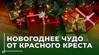 Пусть каждый ребенок поверит в чудо // Белорусский Красный Крест запустил акцию «Елка желаний»