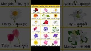 Flowers name ! flowers name in Hindi and English #shorts#youtubeshorts