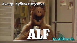 Альф. Зубна щітка. Alf. Toothbrush. Альф. Зубная щётка. #alf