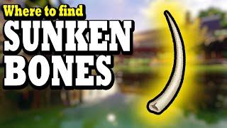 Where to Find SUNKEN BONES in Grounded 2023